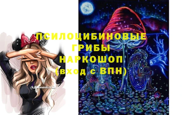 индика Гусиноозёрск