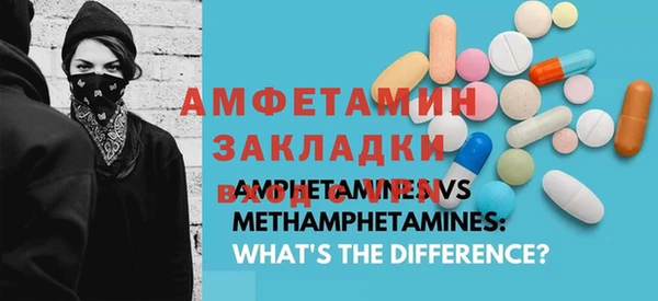 индика Гусиноозёрск