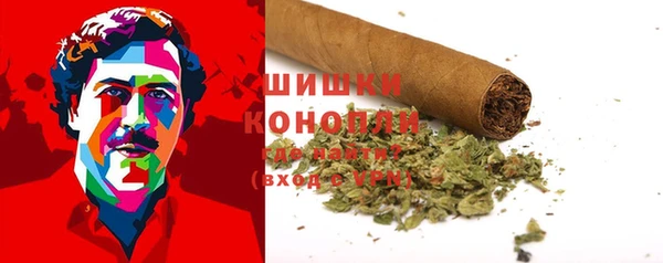 индика Гусиноозёрск