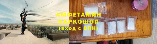 индика Гусиноозёрск