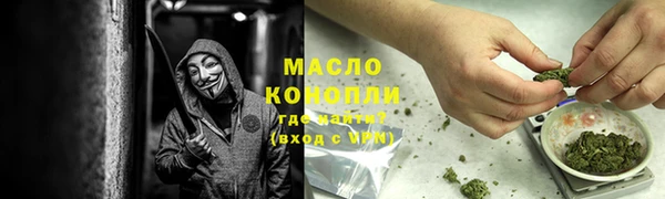индика Гусиноозёрск