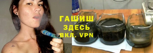 индика Гусиноозёрск