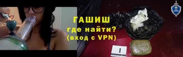 индика Гусиноозёрск