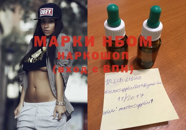 индика Гусиноозёрск