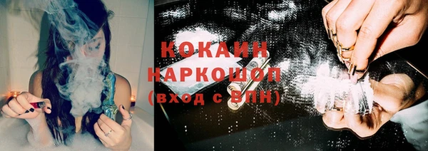 индика Гусиноозёрск