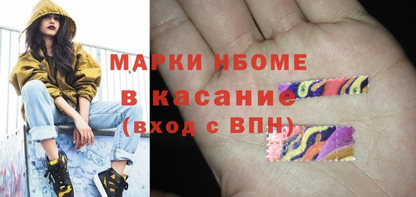 индика Гусиноозёрск