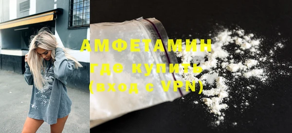 индика Гусиноозёрск