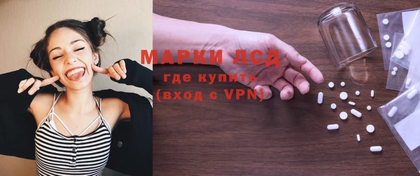 индика Гусиноозёрск