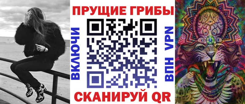 mega ТОР  где найти наркотики  Кизел  Псилоцибиновые грибы Psilocybe 